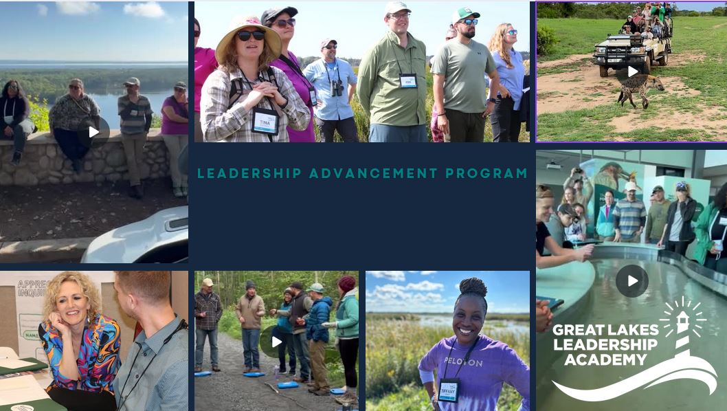 july glla newsletter.JPG